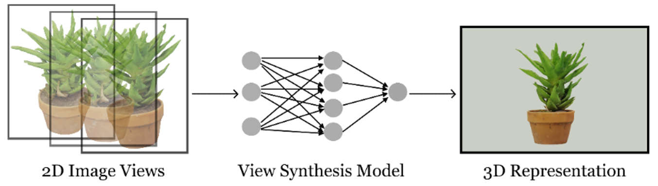 View Synthesis Training Process