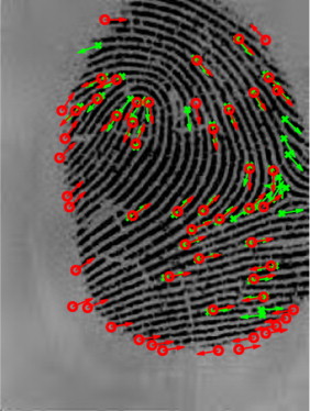 fingerprint
