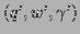$ (q',w',\gamma')$